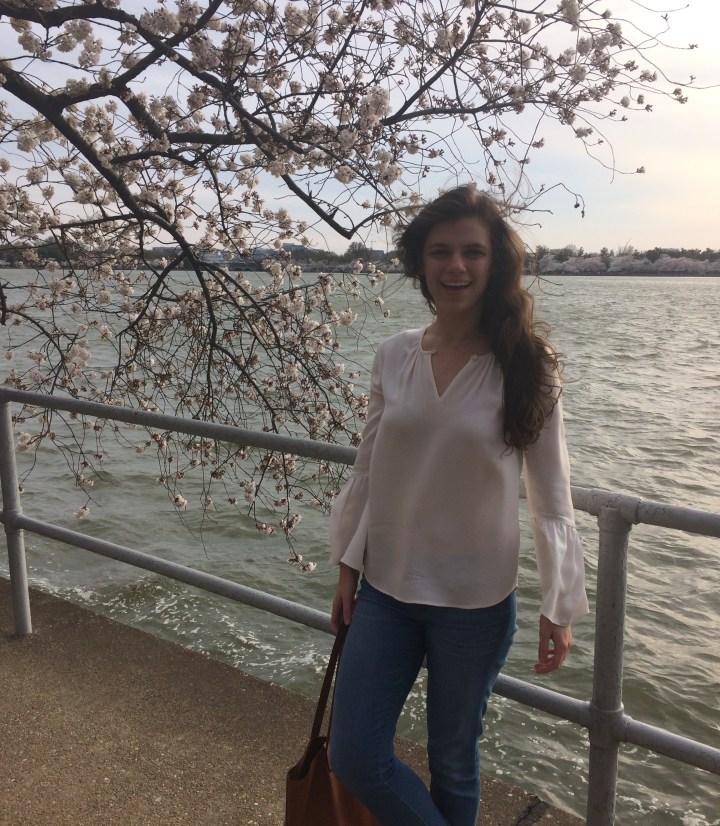 at the cherry blossoms