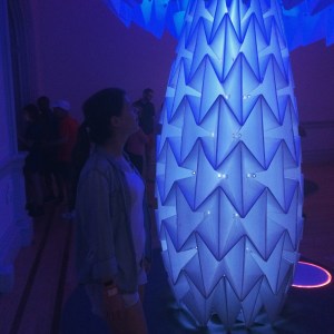 burning man at the renwick gallery mushrooms