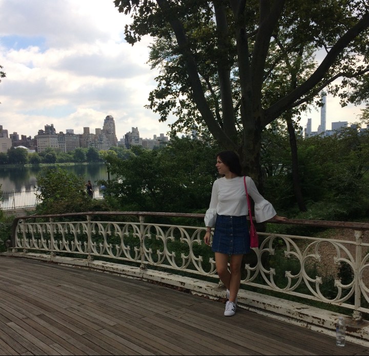 CCtakesDC bow bridge in central park