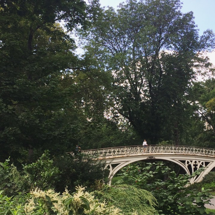 bow bridge in Central Park
