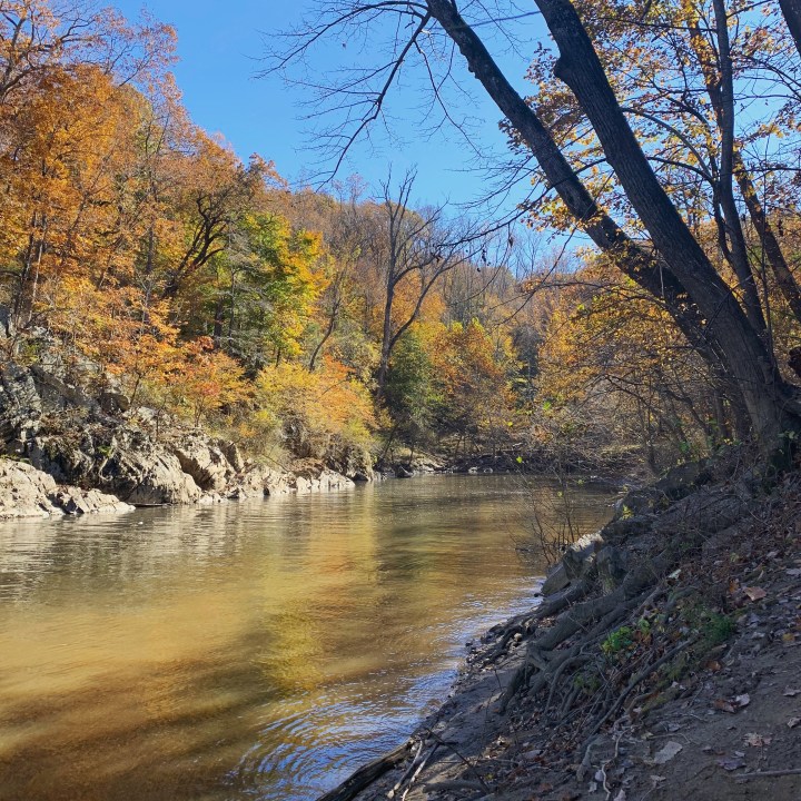 hiking near the river at Great Falls