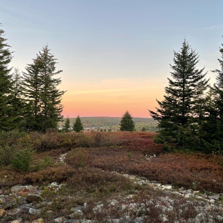 Sunrise on our backpacking trip