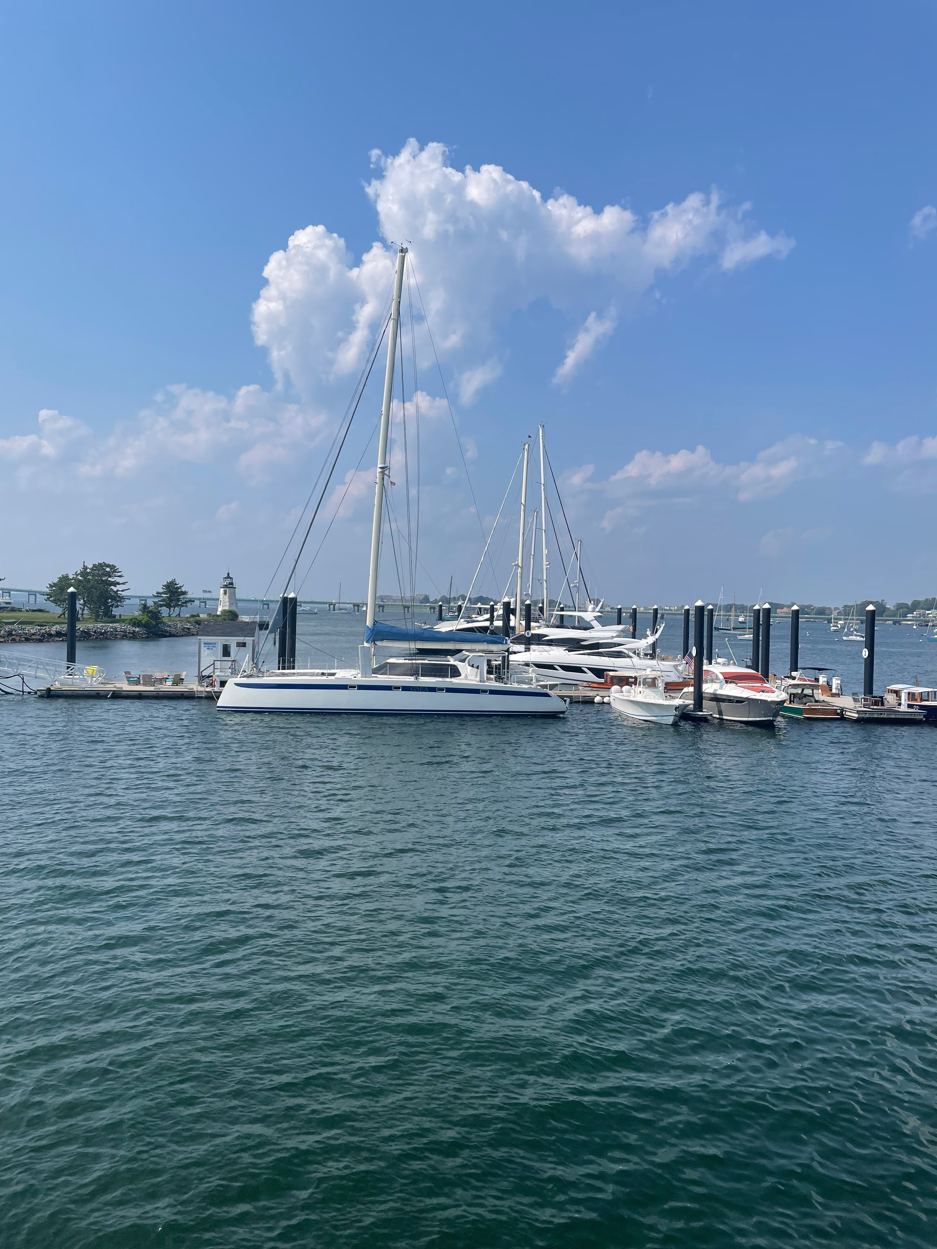 The view from Goat Island