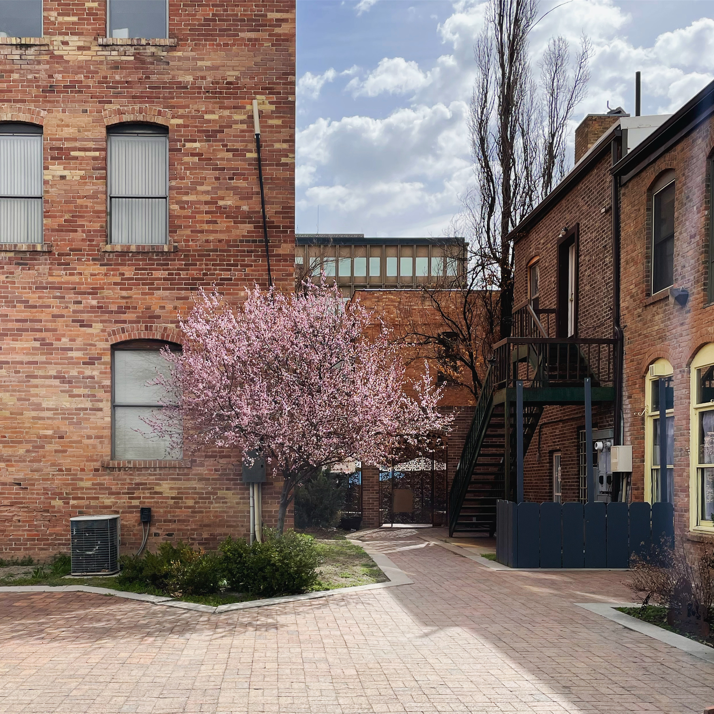 Springtime in Ogden, Utah